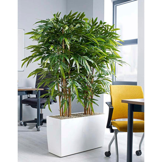 BAMBOO PLANT TROUGH